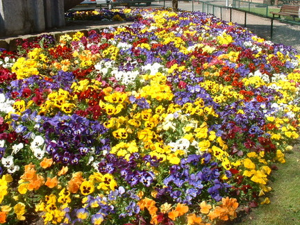DSCF0070
